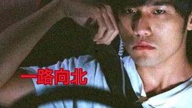 一路向北电影在线观看,穿越时光的浪漫之旅 第3张 一路向北电影在线观看,穿越时光的浪漫之旅 第3张